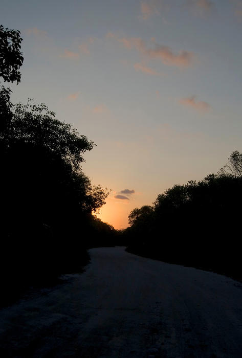 The last light of the day, walking a jungle track in mexico